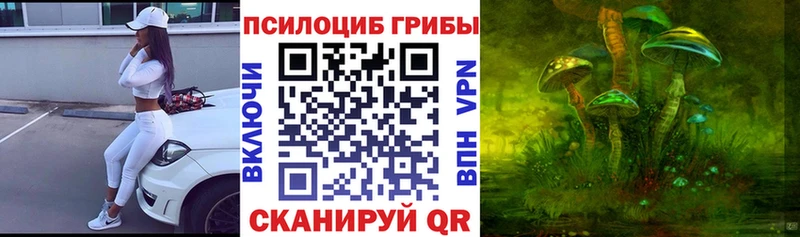 Псилоцибиновые грибы Psilocybe МЕГА tor Луга